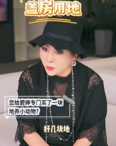 自曝在台北给郭碧婷买地 向太：希望天下家婆都爱媳妇