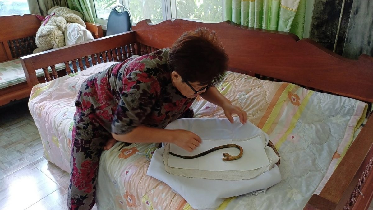 衣柜惊见双头蛇尸体 妇女欲制成标本祭拜