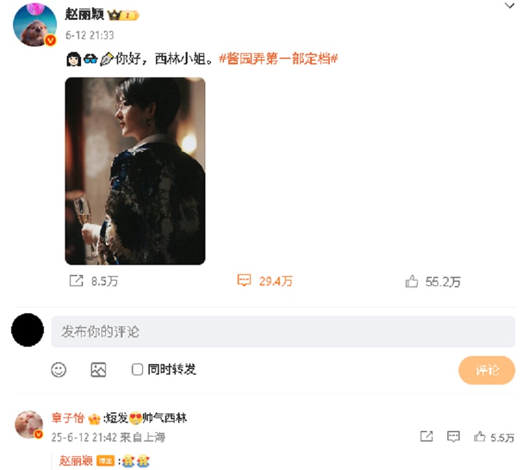 被传做局排挤赵丽颖 章子怡与杨幂正面回应