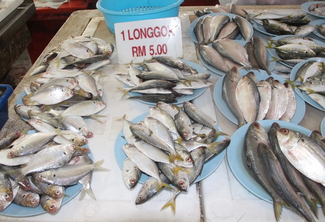 被质疑没钱才买盘装鱼 女子回怼:给猫咪吃的