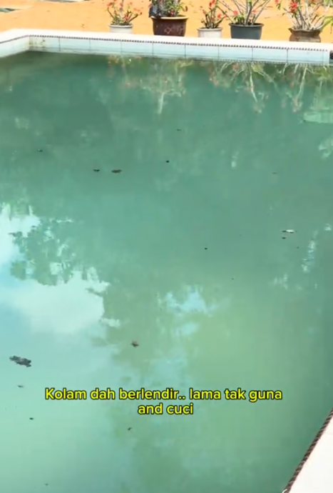 视频|与文字及照片描述天差地远 女子分享预订民宿满肚气