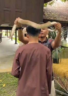视频|兽医非一般婚礼！ “活体动物嘉宾”成焦点
