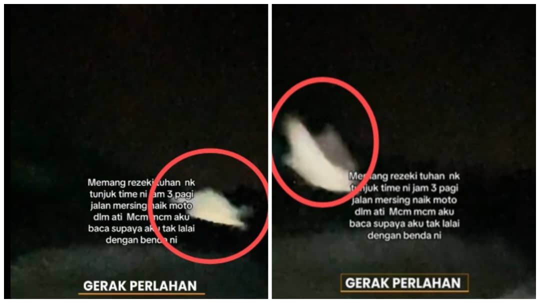 视频|凌晨3am白色生物飞过 骑士惊吓：是鸟还是……