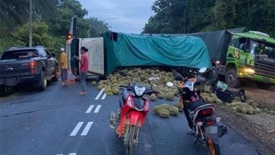 视频 | 罗里翻覆榴梿滚满地 路人不哄抢反助收拾残局 赞！