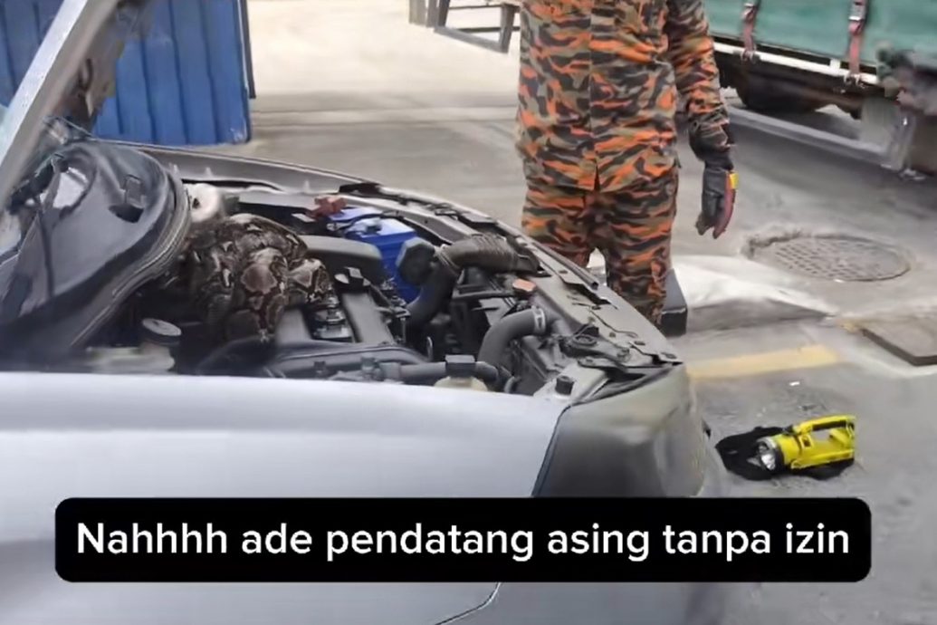 视频|车窗留纸条以为是情书 女子吓坏：是提醒引擎室藏蟒蛇！