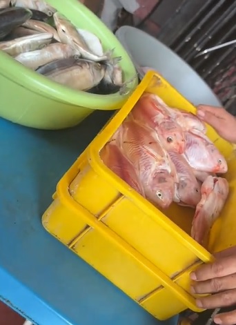 视频|餐厅吃烤魔鬼鱼有异味 男子查看存放方式吓到