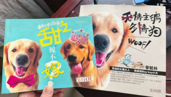 让狗儿也善终──我家的老狗阿huat告别日记