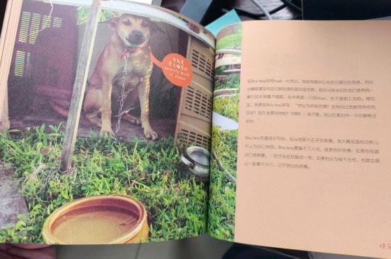 让狗儿也善终──我家的老狗阿huat告别日记