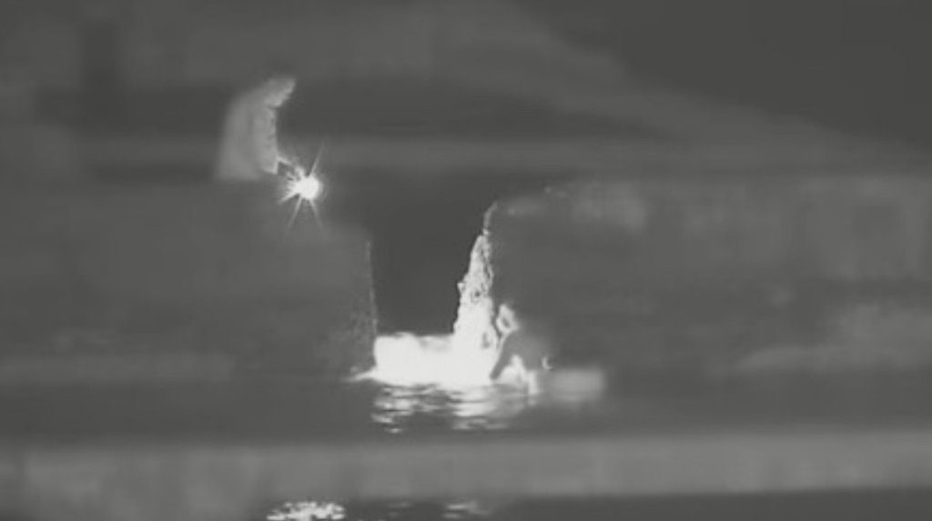 误闯海胆养殖场涉窃盗送办 李康生自嘲玩水变海贼王