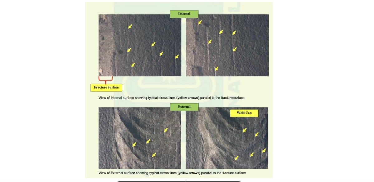 请再签发取代网文/布特拉高原气爆案PC