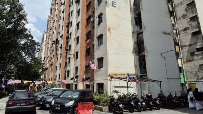 梳邦谷1人民组屋  获374万提升基设