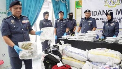 毒枭盯上大麻乾花 下游产品每公斤10万 