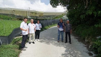 耗资20万重铺   碧兰璋菜园路提升完工
