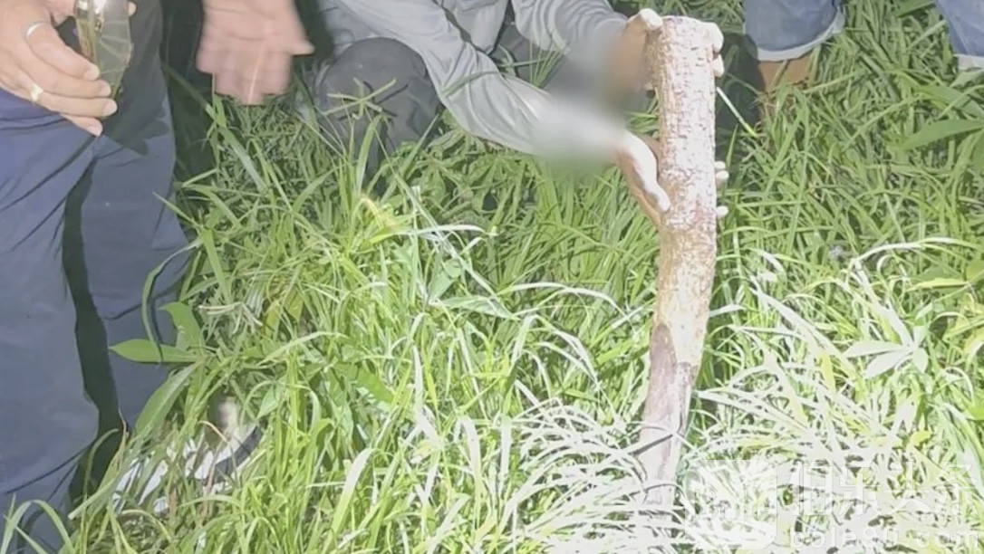 长子被弟弟侄子联手打死 母：毒品毁我3个儿子