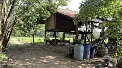 长子被弟弟侄子联手打死 母：毒品毁我3个儿子