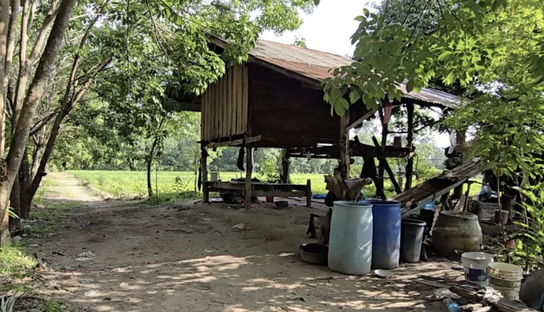 长子被弟弟侄子联手打死 母：毒品毁我3个儿子