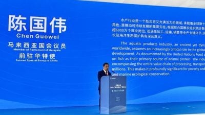 陈国伟：“一带一路”引领下  马中水产业合作结硕果 