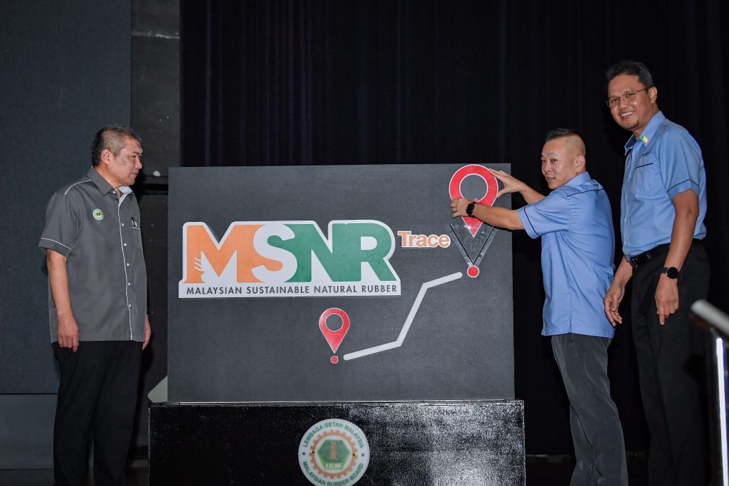 陈泓缣：可查种植至交易过程