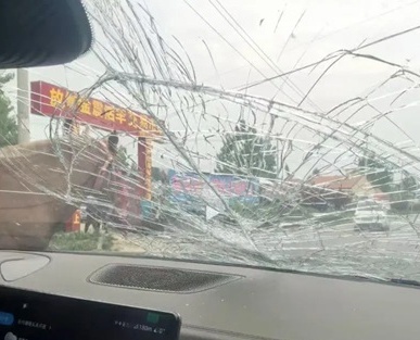 马儿冲出马路撞车 车主喊冤：谁赔谁？