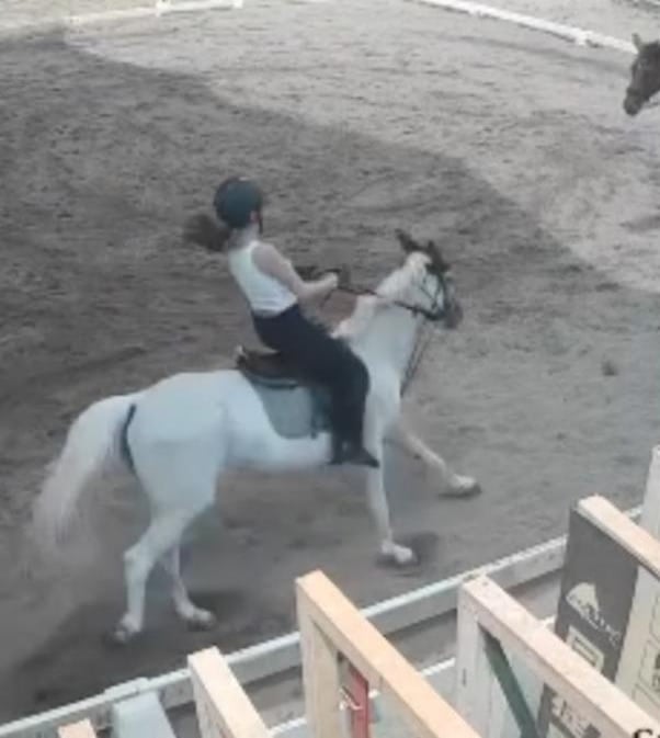 马儿突失控爆冲 赖薇如被甩飞重摔