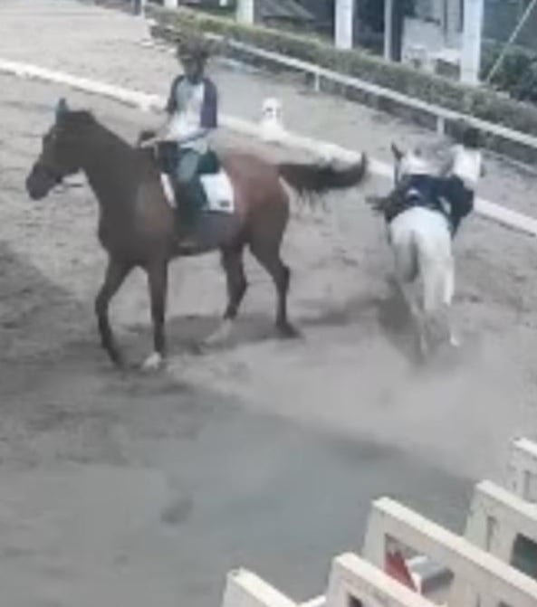 马儿突失控爆冲 赖薇如被甩飞重摔