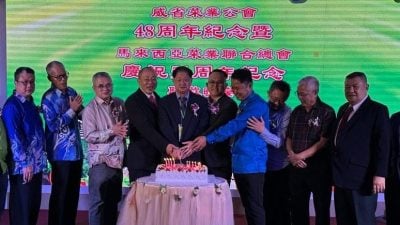 菌菇类SST说词不一引混淆   菜总：多为平价食材应豁免
