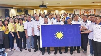 马汉顺：如果再不上阵选举  马华情何以堪