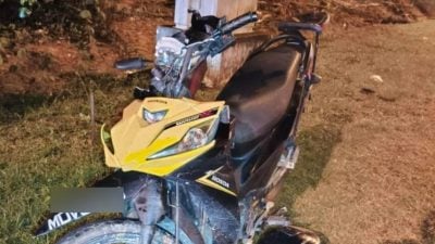 骑士失控撞牛受重伤 抢救一周宣告不治