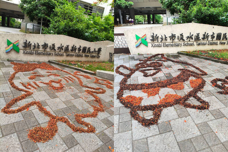 高手在民间!淡水校园惊见“落叶画家”引上万人朝圣