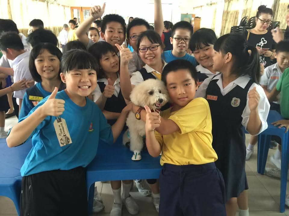 黄诗情:源头减少流浪狗问题 探讨为家犬植微型晶片