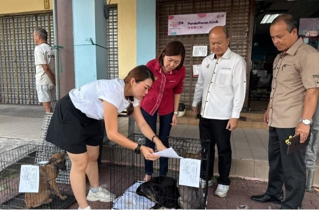 黄诗情:源头减少流浪狗问题 探讨为家犬植微型晶片