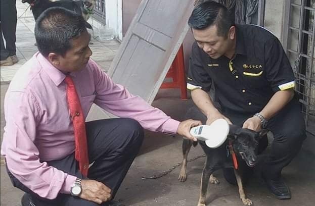 黄诗情:源头减少流浪狗问题 探讨为家犬植微型晶片
