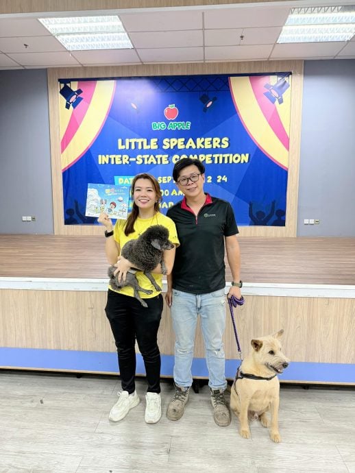 黄诗情:源头减少流浪狗问题 探讨为家犬植微型晶片