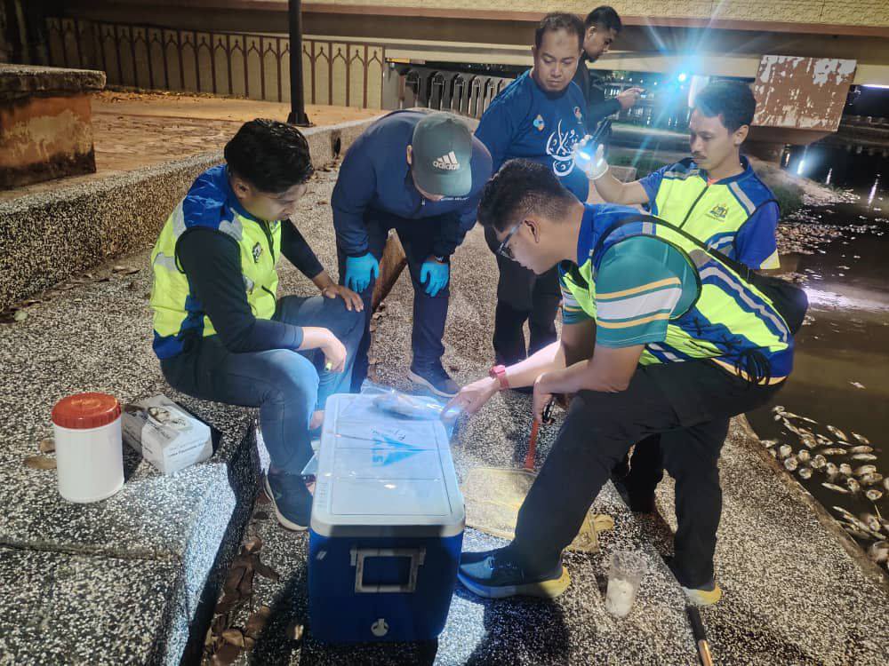 (古城封面副文)甲河飘臭捞出3吨鱼尸和垃圾 水源监管机构抽样本查死因