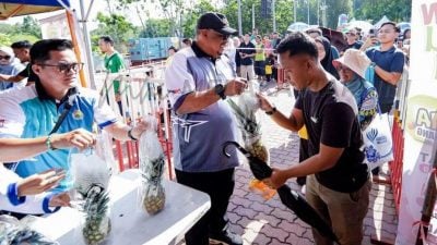 注册为甲水果产品标志   罗汉番石榴易名MelGuv