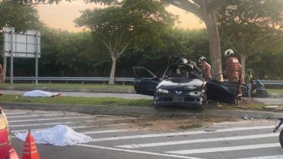 轿车失控撞树   司机夹毙 乘客抛车外亡