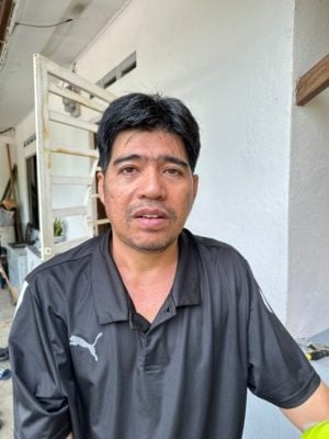 (古城第二版副文))50呎大树倒下 击中神龛车房休旅车