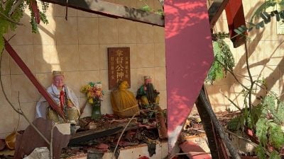 (古城第二版副文))50呎大树倒下 击中神龛车房休旅车