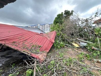 (古城第二版副文))50呎大树倒下 击中神龛车房休旅车