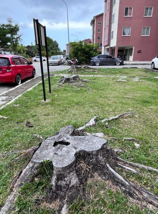 （古城第五版主文）甘榜巴当组屋获拓宽道路，停车位增加许多