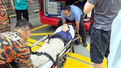 被掉落树枝砸中   中国女游客送院
