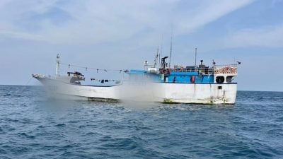 渔船载12吨金枪鱼   非法停泊大马海域被查