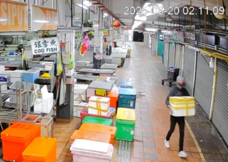 (大北马)峇都兰樟巴刹贼匪偷鱼,严重影响鱼贩营业