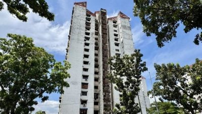 彩虹公寓 五条路组屋   获拨款130万提升设施