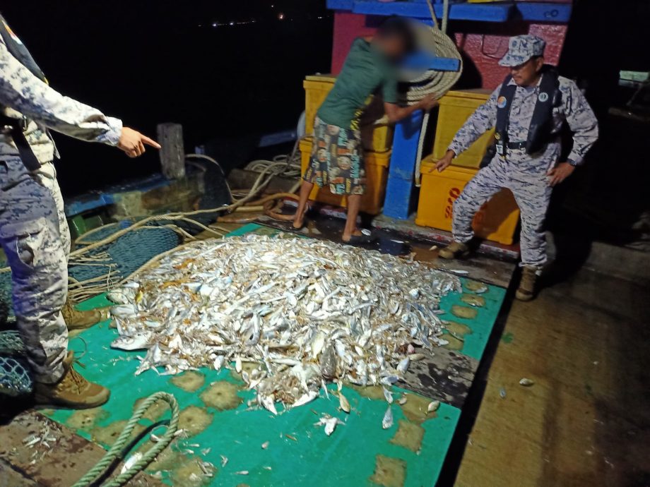 （大北马）拖网渔船浅海捕鱼被拦，船上海产全遭充公