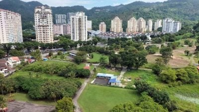 曹观友：打造榴梿谷@湖内   栽种全槟全马品种