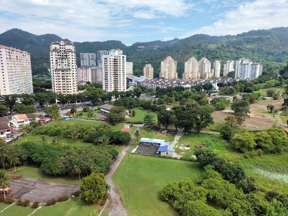 （大北马）曹观友：打造榴梿谷@湖内 种全槟全马品种榴梿树