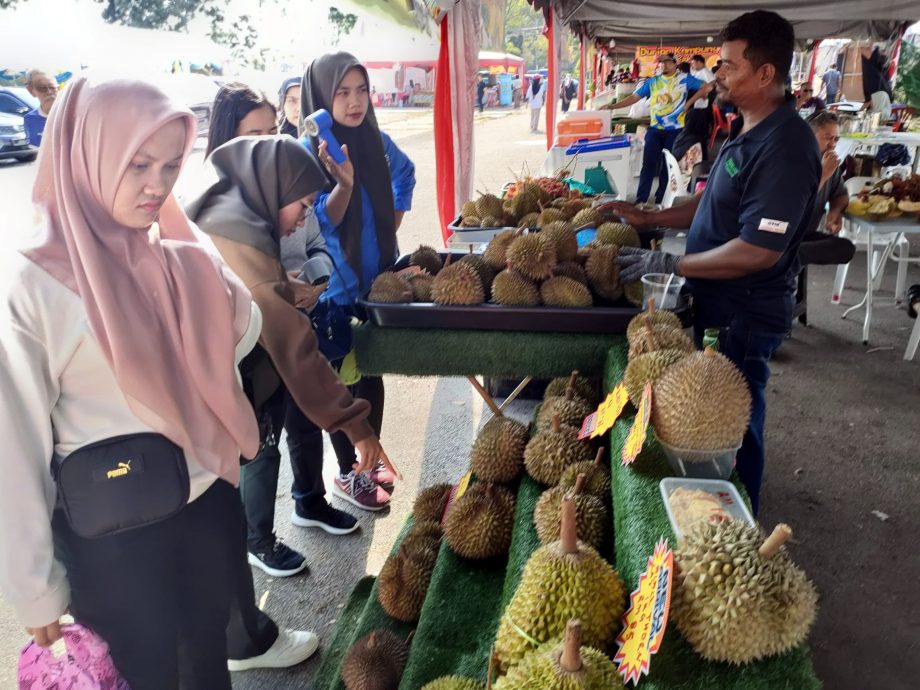 （大北马）曹观友：打造榴梿谷@湖内 种全槟全马品种榴梿树