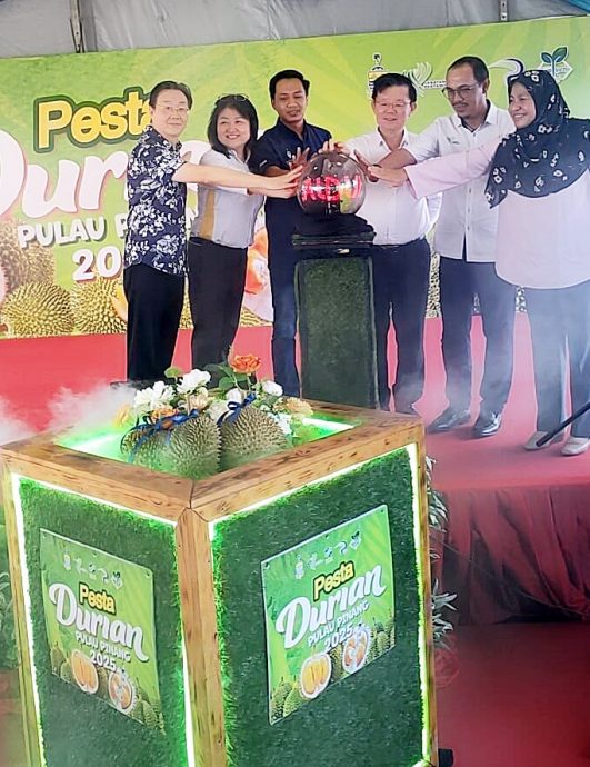 （大北马）曹观友：打造榴梿谷@湖内 种全槟全马品种榴梿树