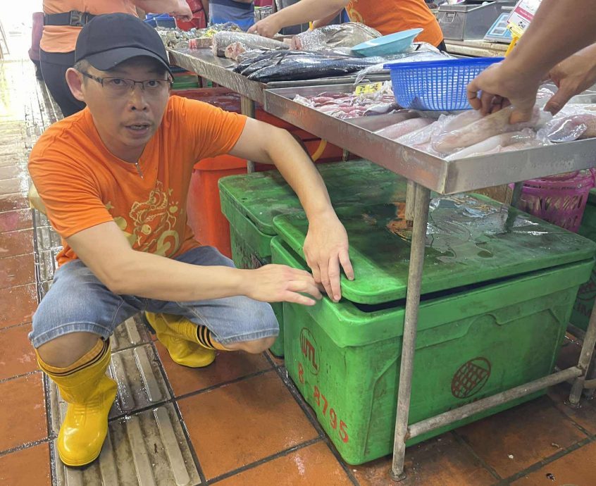 (大北马)槟岛多巴刹惊现偷鱼鸡贼,峇都兰樟巴刹被偷4次